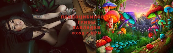 меф Майский