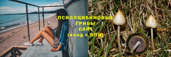 меф Майский