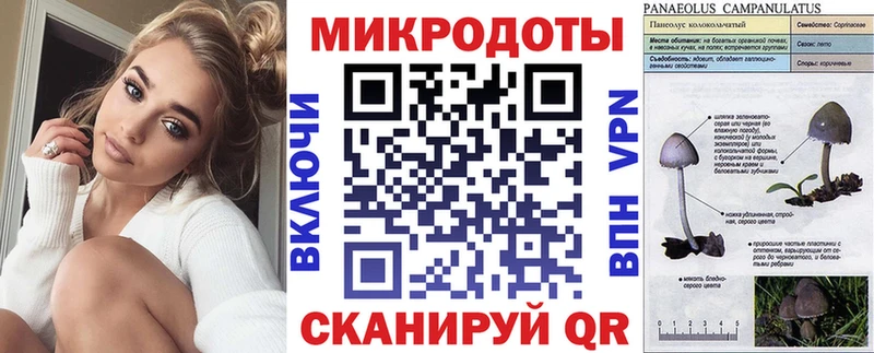площадка наркотические препараты  kraken зеркало  Красноярск  Галлюциногенные грибы мицелий 