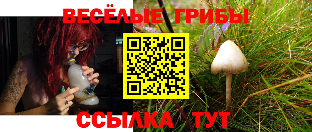 Псилоцибиновые грибы Magic Shrooms  Красноярск 