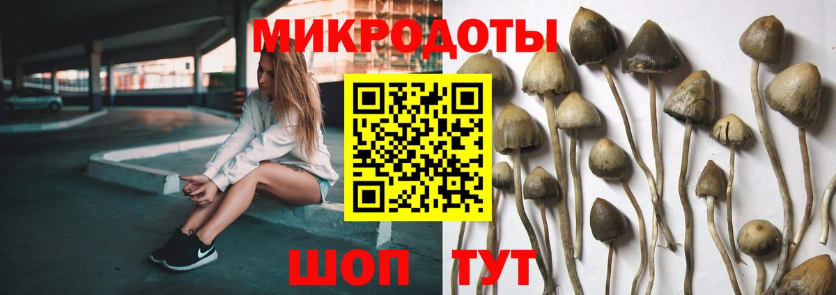 Псилоцибиновые грибы Psilocybine cubensis  Псилоцибиновые грибы Psilocybe  продажа наркотиков  Красноярск  Вход с VPN 