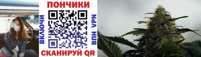 МАРИХУАНА сатива  Красноярск 